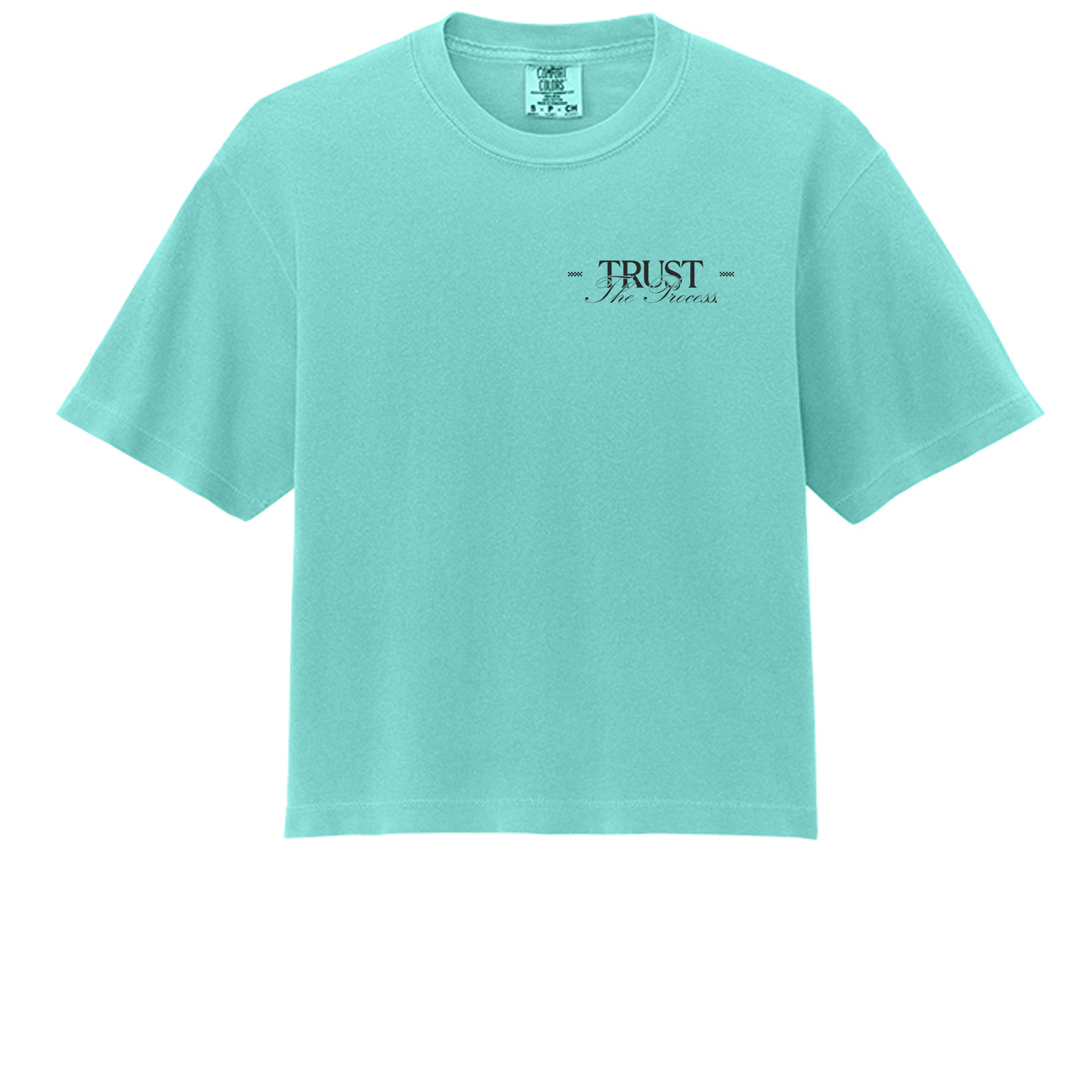 Chalky Mint - 3023CL - FRONT